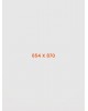 iPod Classic